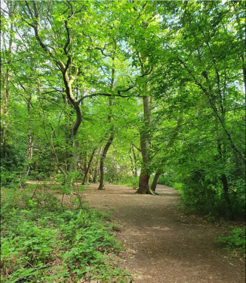 Queen Elizabeth Park, Farnborough